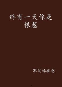 终有一天,梦想照进现实的旅程