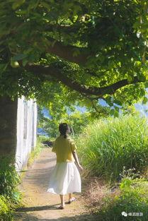 月光藏于盛夏,探寻夏夜中的清凉诗意